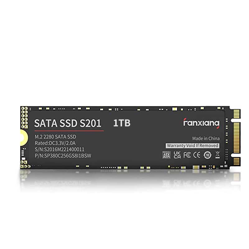 fanxiang S201 1To SSD M.2 SATA SSD Disque Interne, Cache SLC，3D NAND, M.2  2280 SATA III 6 Go/s SSD, Jusqu'à 550 Mo/s - Compatible avec Ordinateur  Portable et Desktop Computer : 