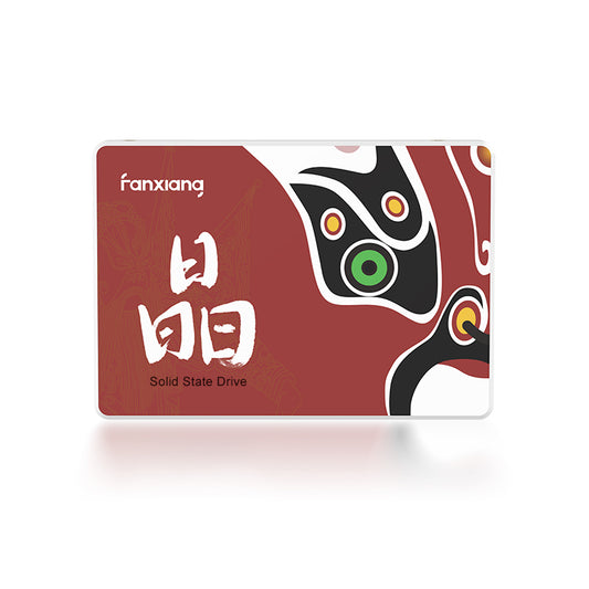 FangXiang S100 SATA III Internal SSD