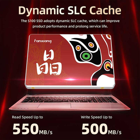FangXiang S100 SATA III Internal SSD